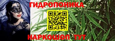 jwh Ставрополь