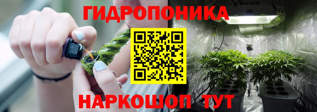 ГАШИШ Нововоронеж